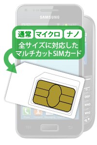 アメリカ 海外 で使えるsimカード Hanacell ハナセル